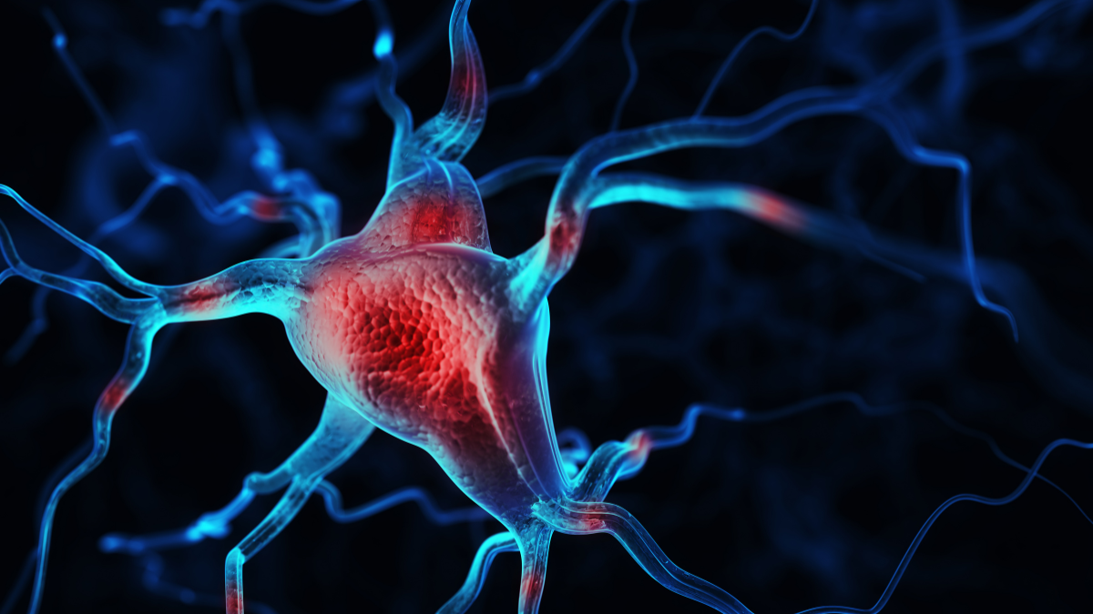 neuropathy doctor near me