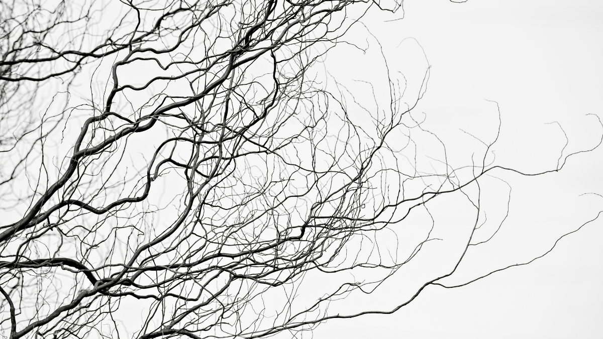 neuropathy reversal in Gaffney
